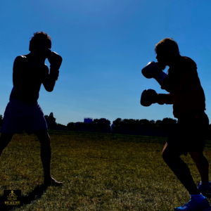 Boxing Coaching Image to show discipline